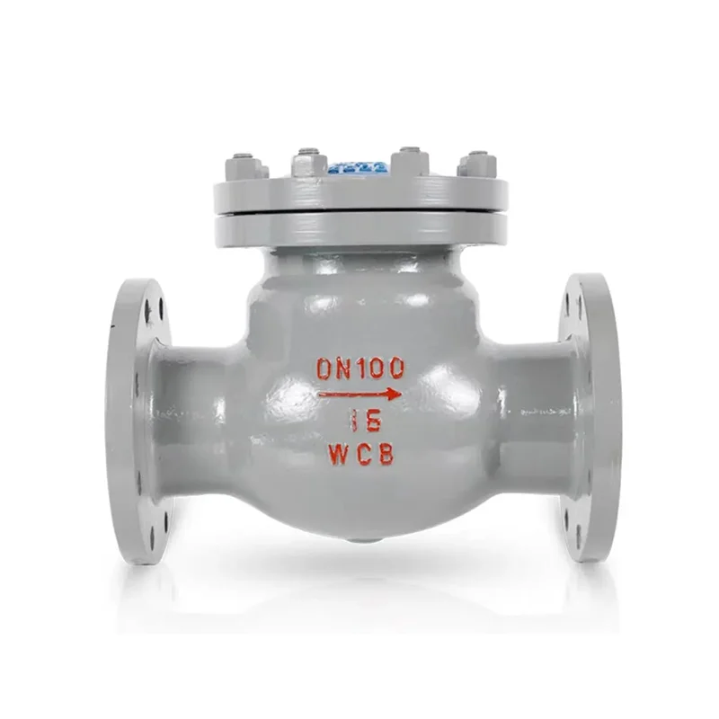 Cast Swing Flange Check valve