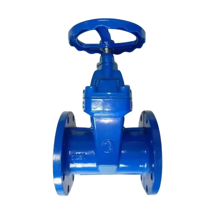 I-Doructile Iron ifihliwe rod sod soft pof flange gate valu