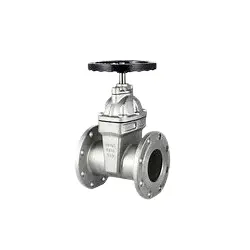 Insimbi engagqwali efihliwe ye-poltange gate valve