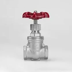 I-valve yensimbi engenasici